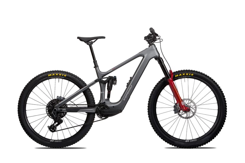 Steppenwolf Tundra 10 e-MTB in titanium grey gloss, side view