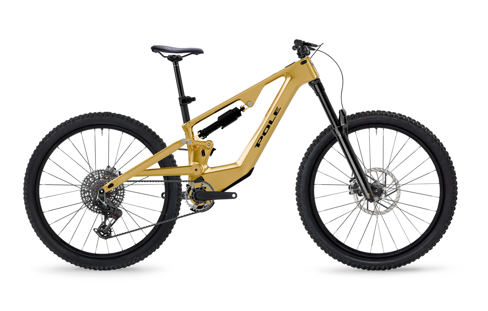 Pole Hiisi 173 Big Build e-MTB, detail 2 (True Gold finish)