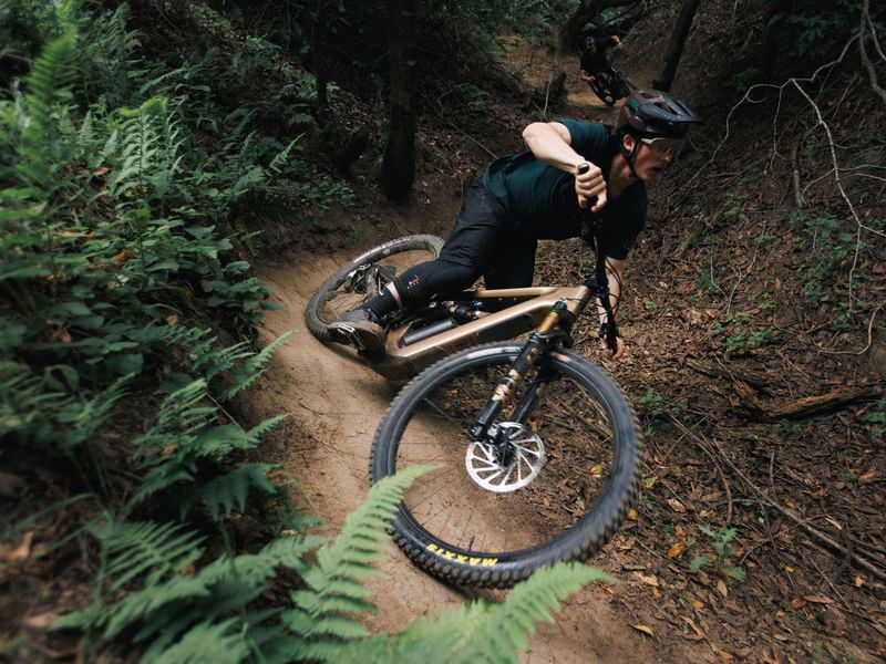 Ibis Oso HD 90 e-MTB, detail 1