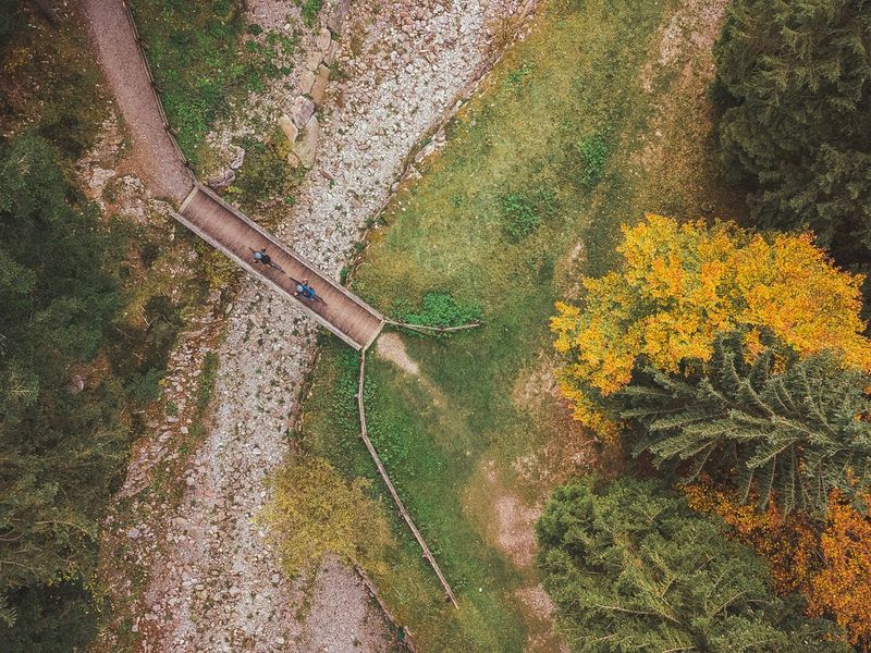 Aerial view of a forest bike trail in Val di Concei in autumn