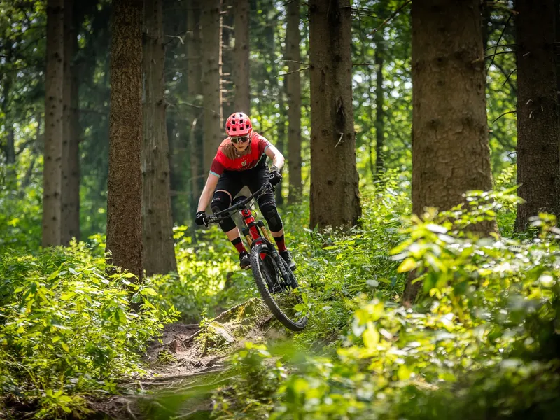Rotwild R.X375 Pro e-MTB, detail 1
