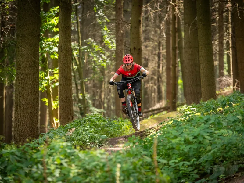 Rotwild R.X375 Ultra e-MTB, detail 1