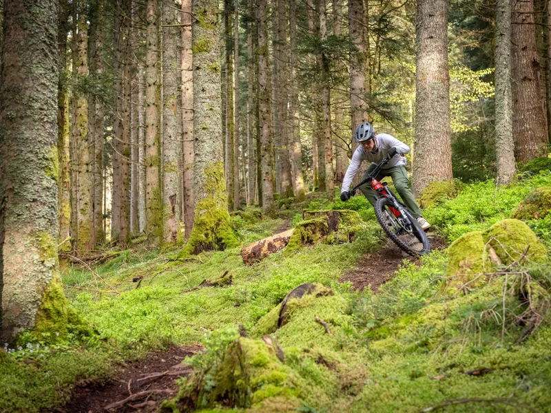 Rotwild R.X850 Pro e-MTB, detail 1