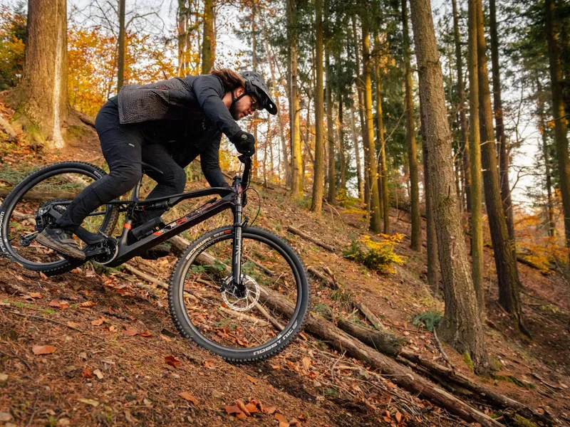 Rotwild R.X290 Ultra e-MTB, detail 1