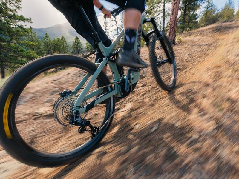 Devinci E-Spartan Eagle 90 12s e-MTB, detail 8