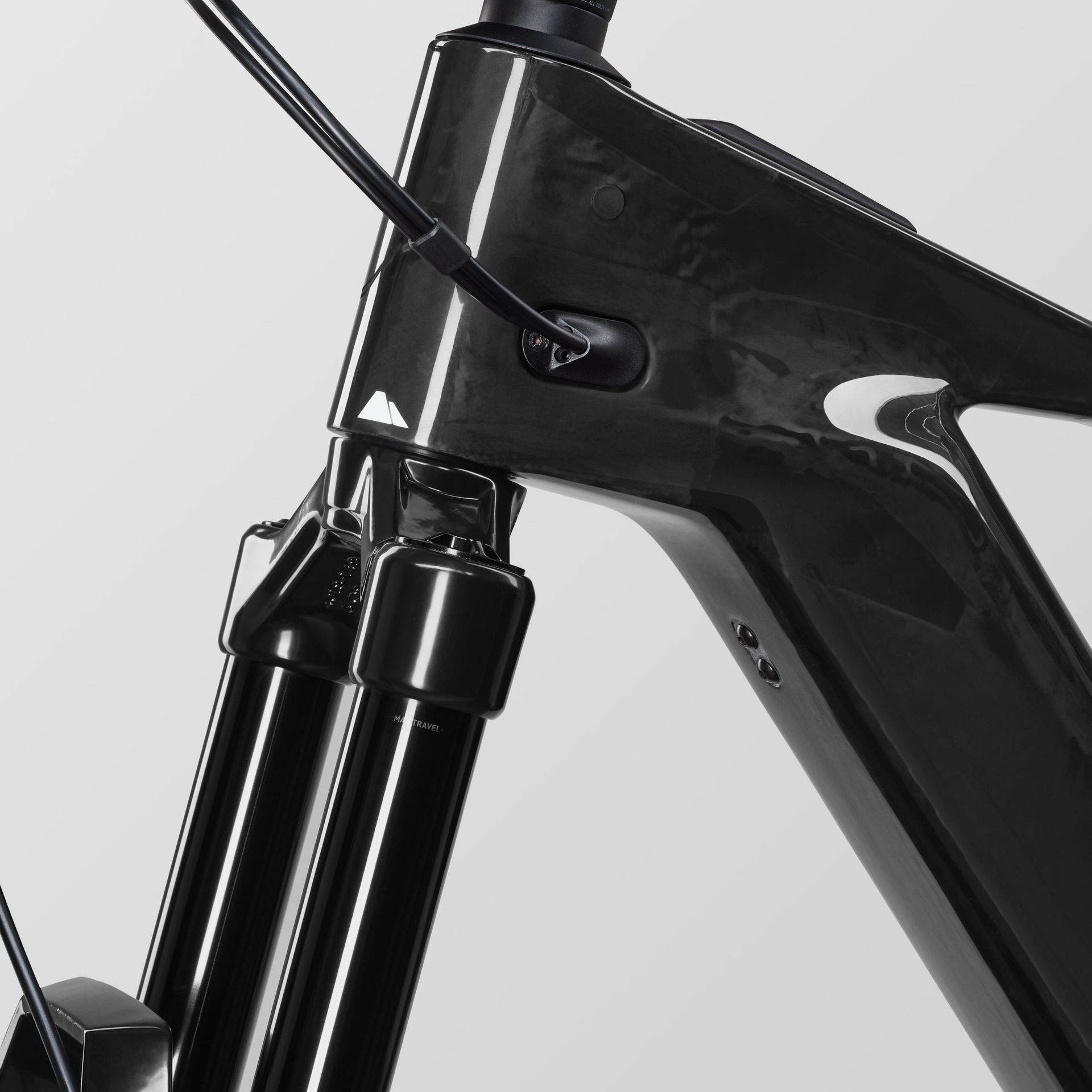 Canyon Strive:ON CF 8 e-MTB, maintenance detail