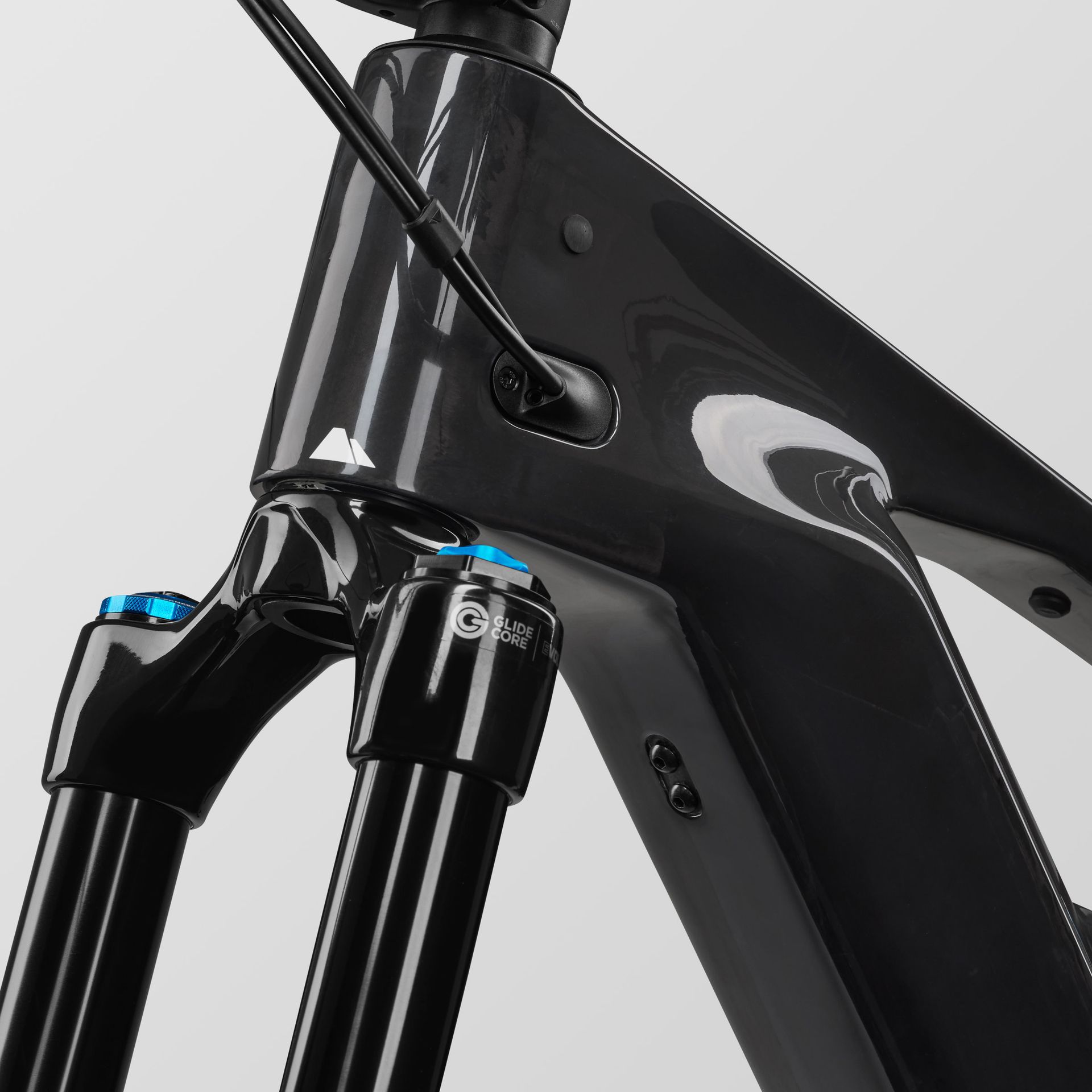 Canyon Strive:ON CF 9 e-MTB, maintenance detail