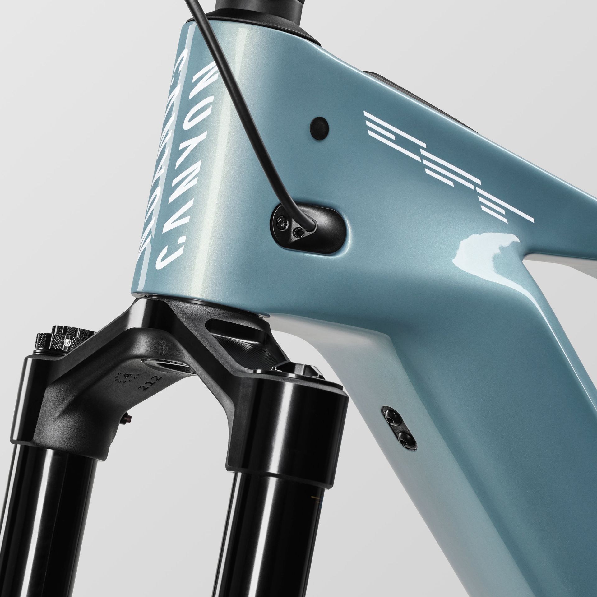 Canyon Strive:ON CFR e-MTB, maintenance detail