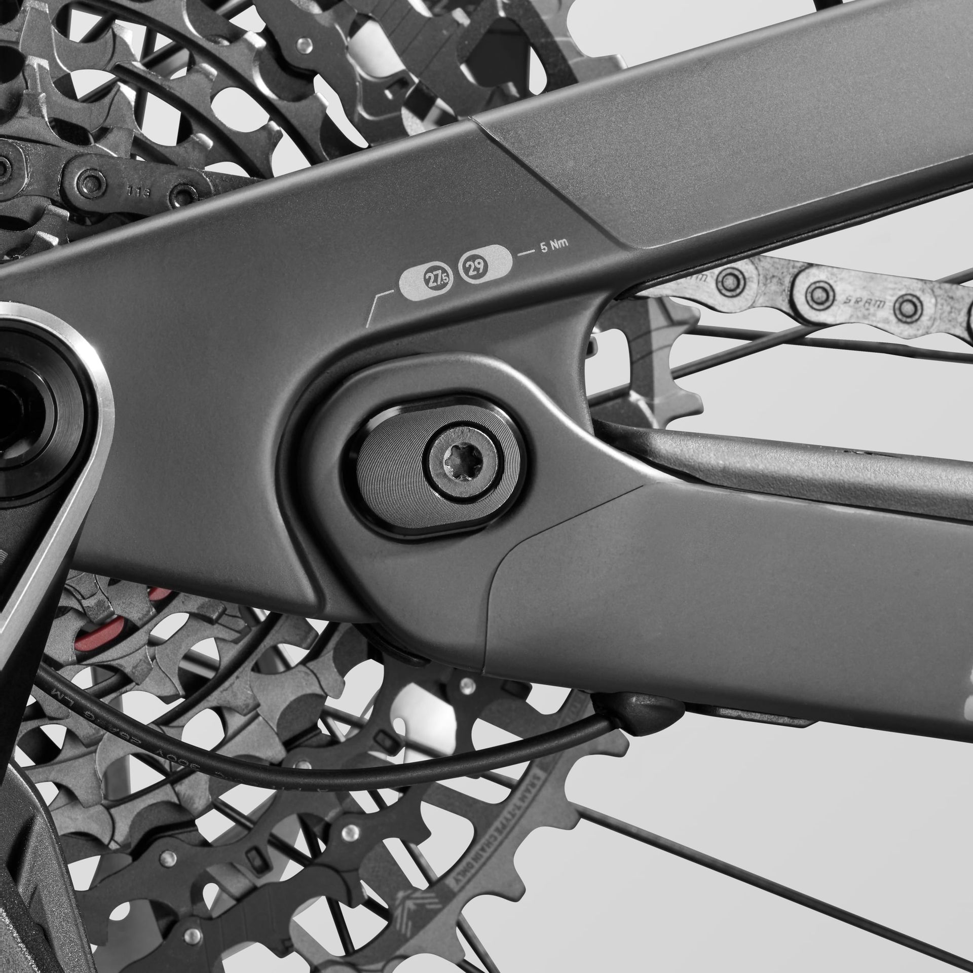 Canyon Spectral:ON CF 9 AXS chainstay flip chip detail