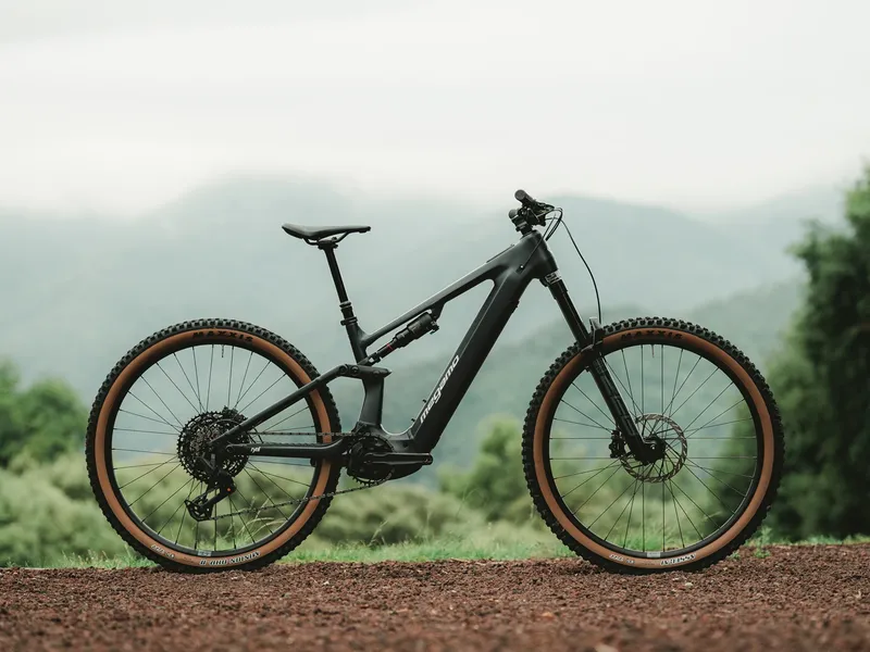 Megamo Ryal 08 e-MTB, detail 4
