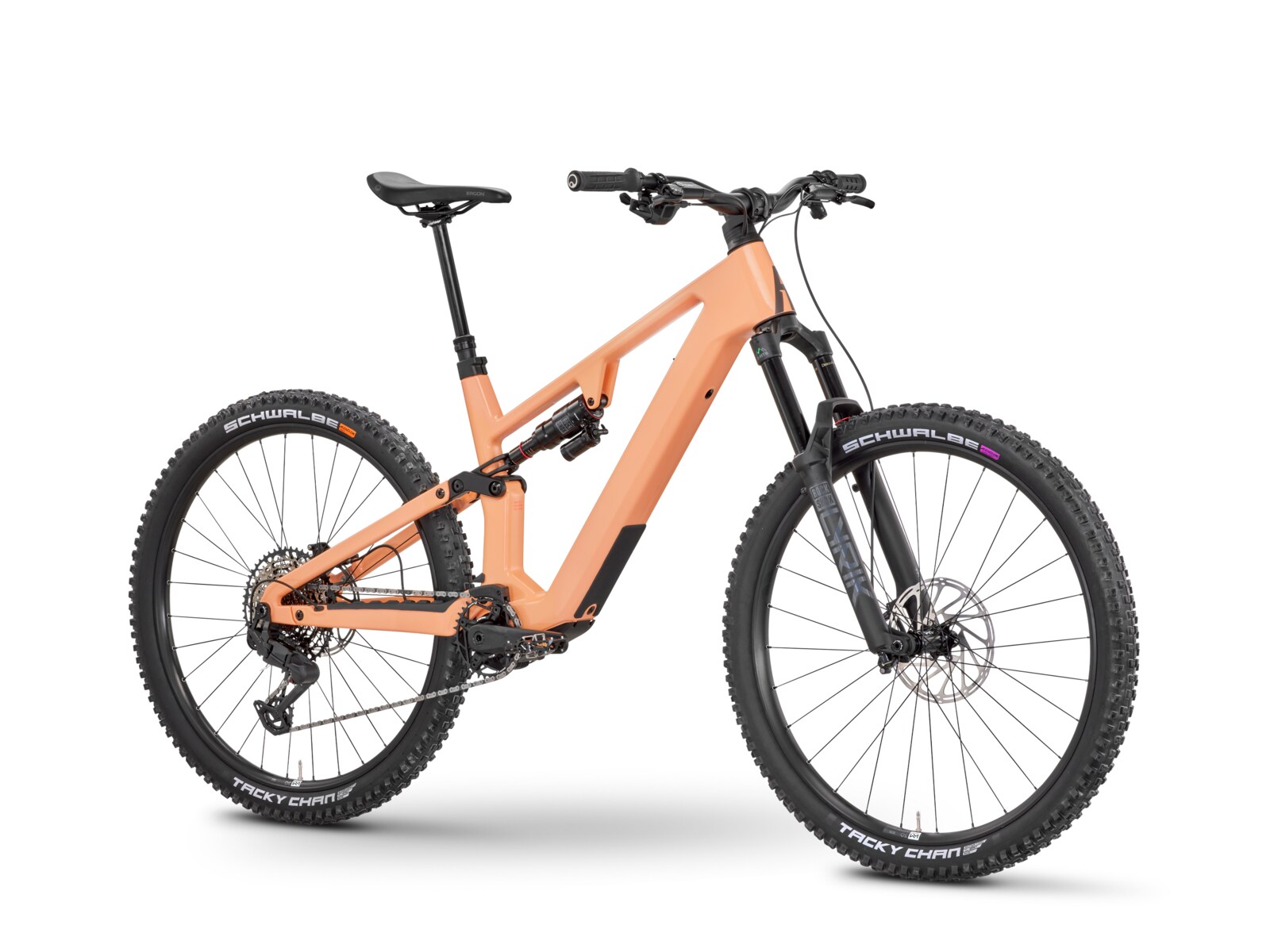 Rose File Plus 70 e-MTB, view 1