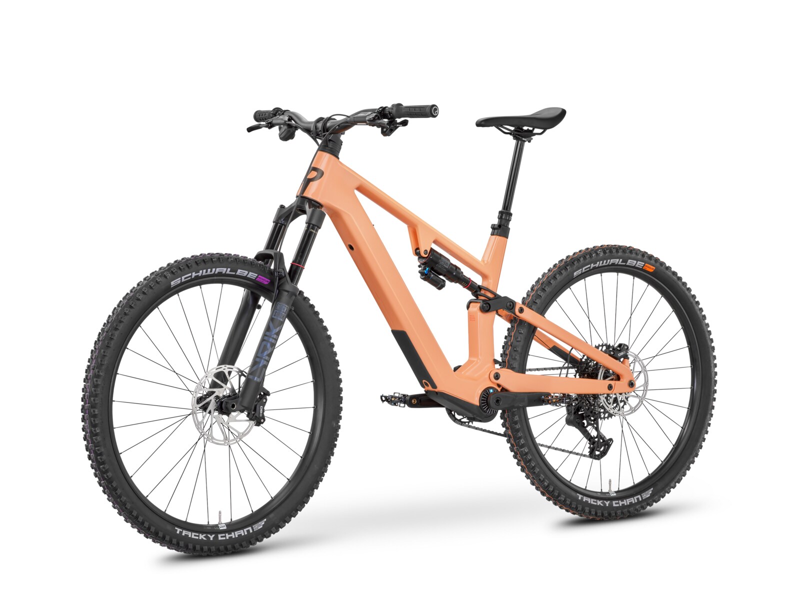 Rose File Plus 70 e-MTB, view 2