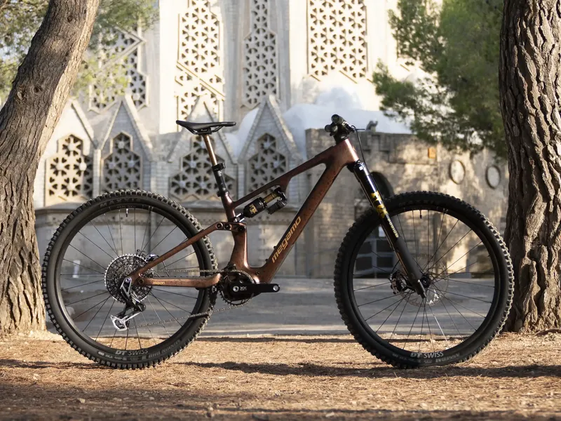 Megamo Reason CRB 00 e-MTB, detail 6