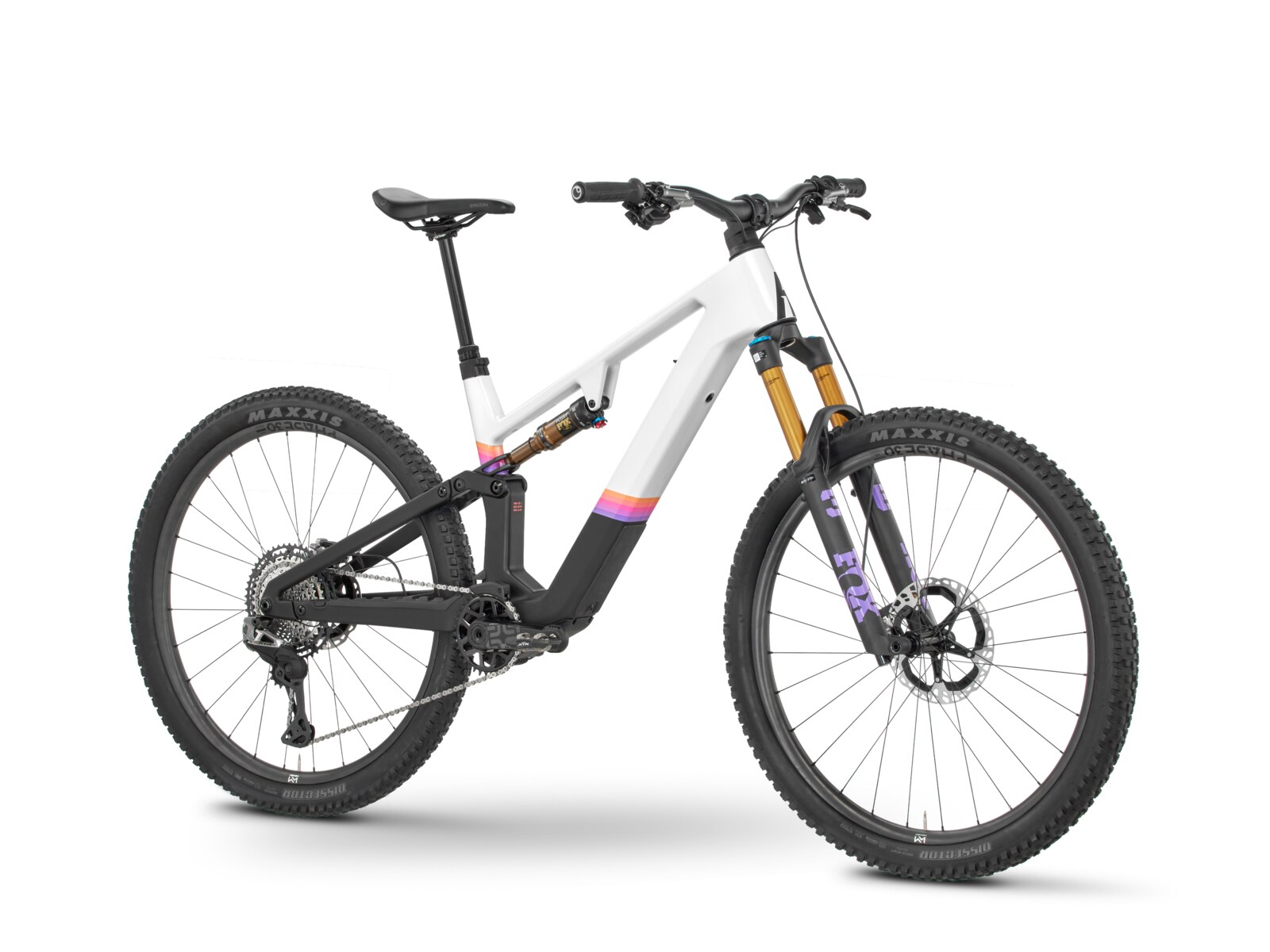 Rose File Plus XTR SL e-MTB, view 1