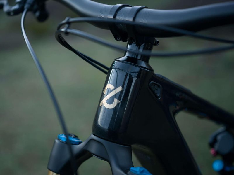 Amflow PL Carbon Pro e-MTB, detail 4