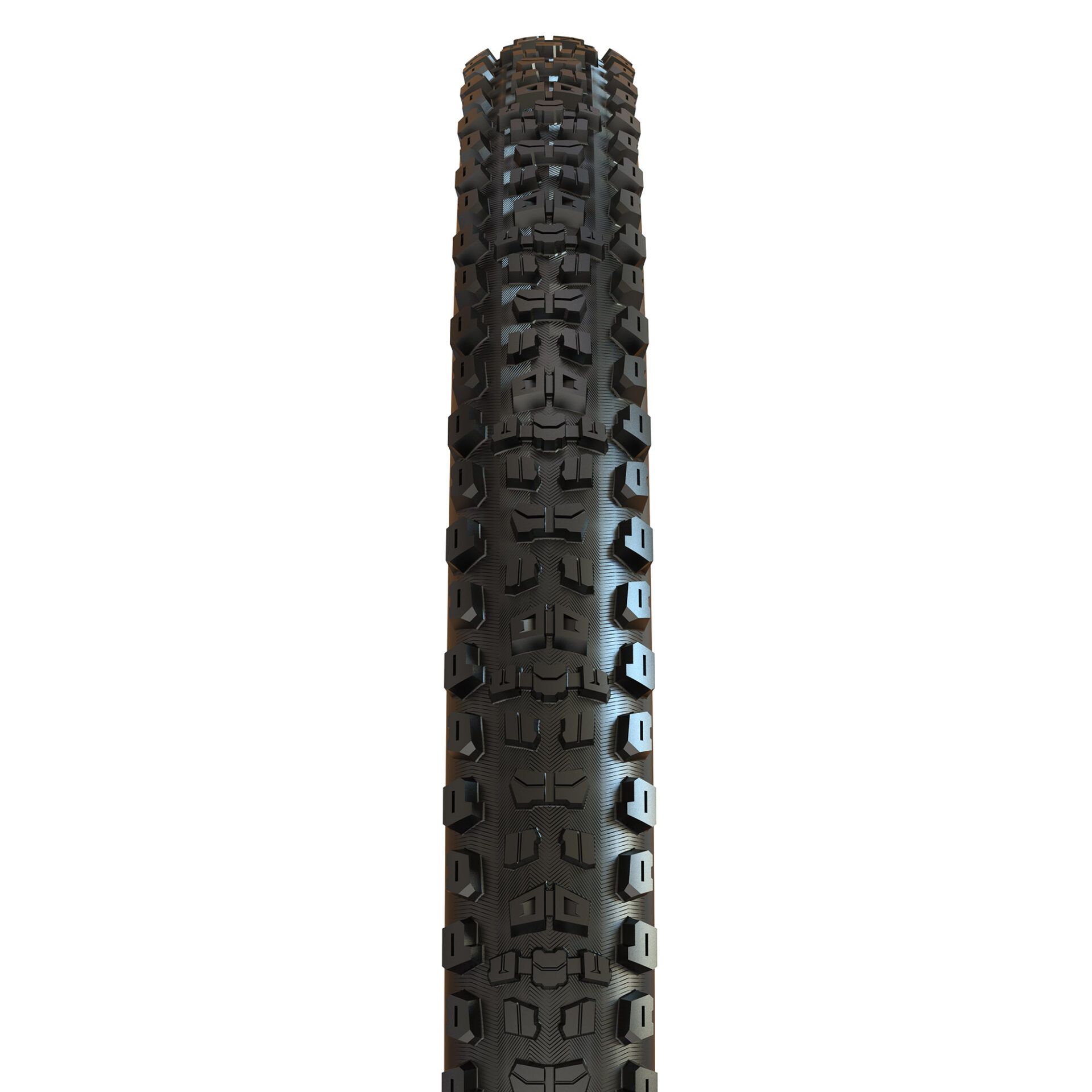 Maxxis Aggressor, detail 1