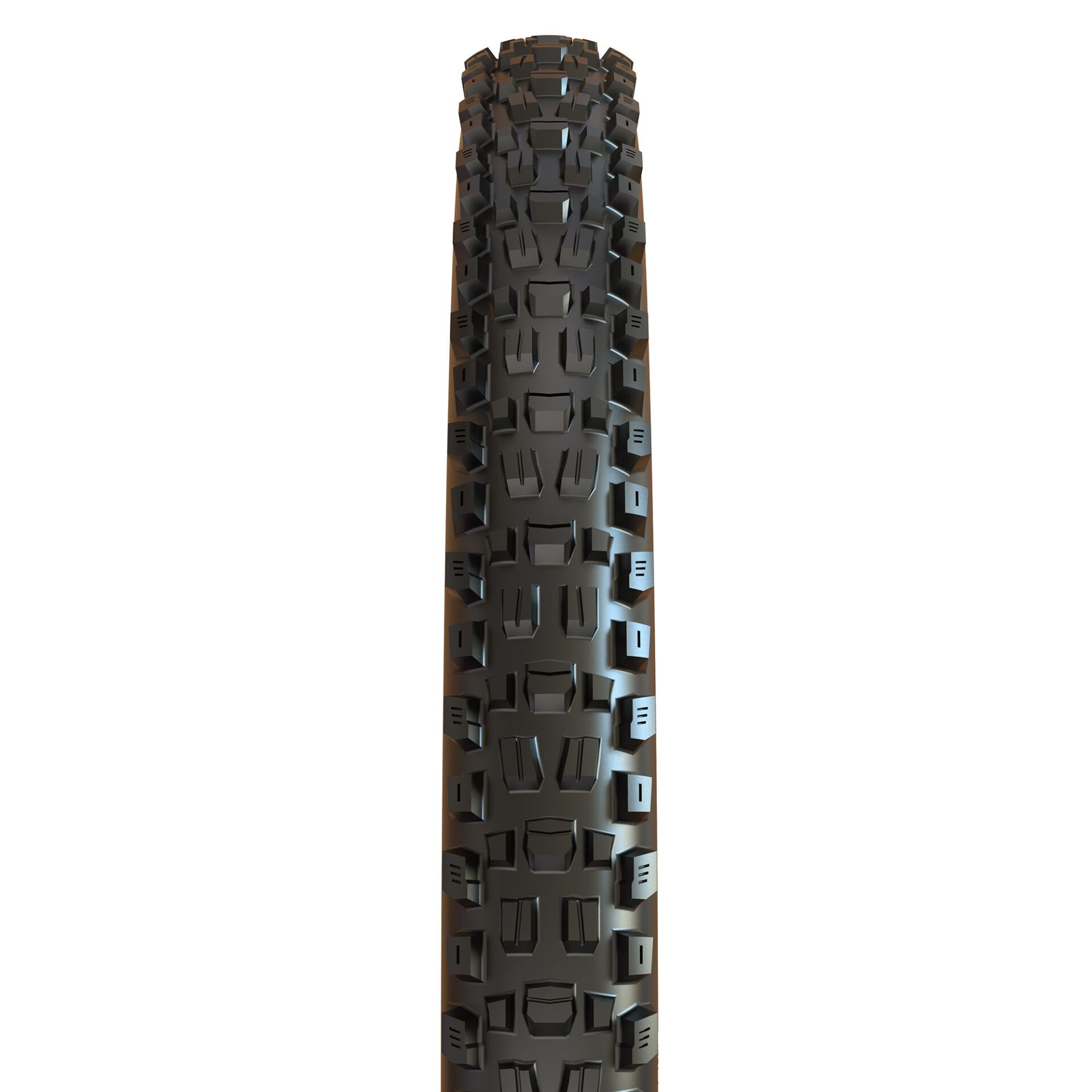 Maxxis Assegai, detail 1