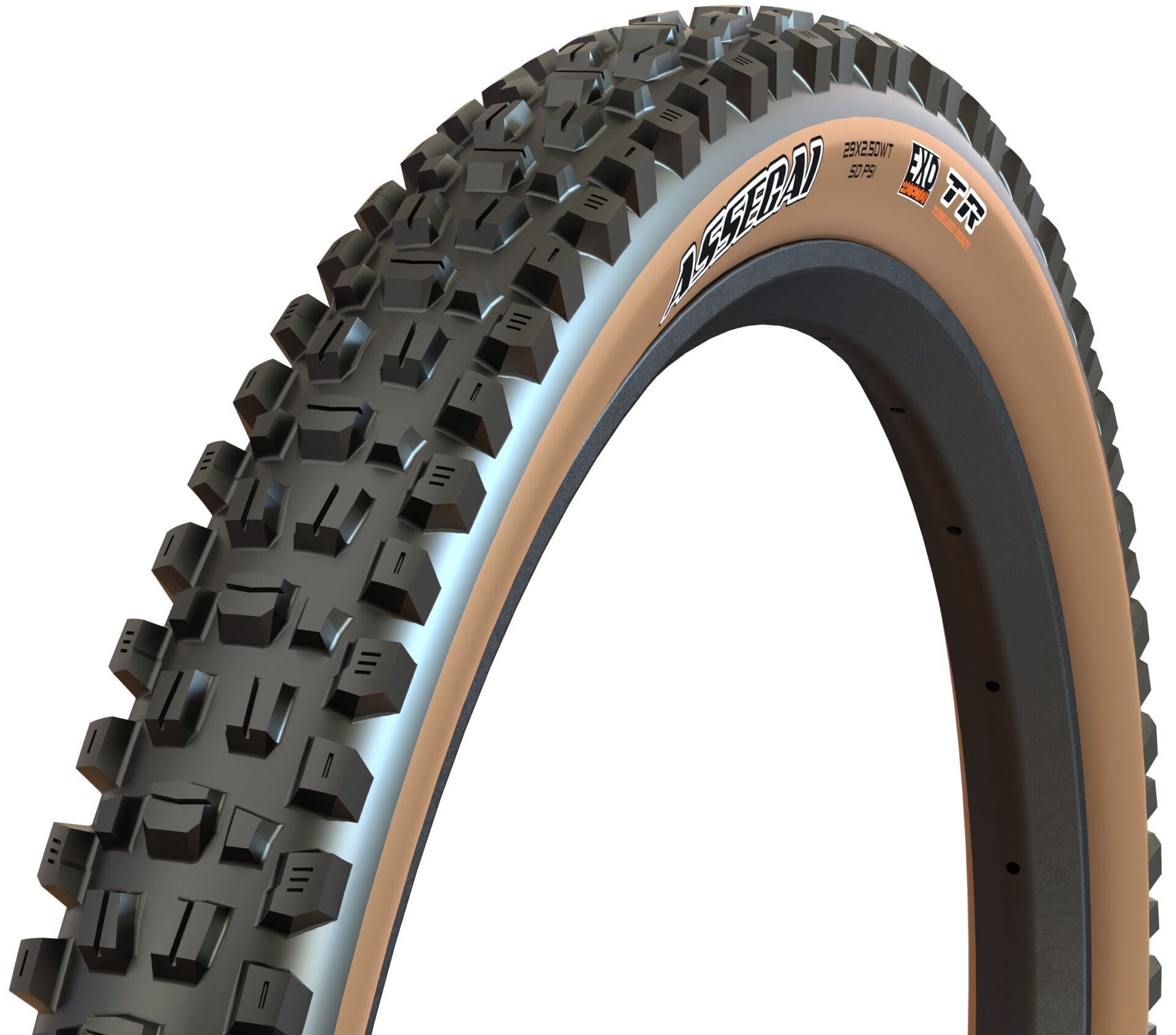 Maxxis Assegai, detail 3