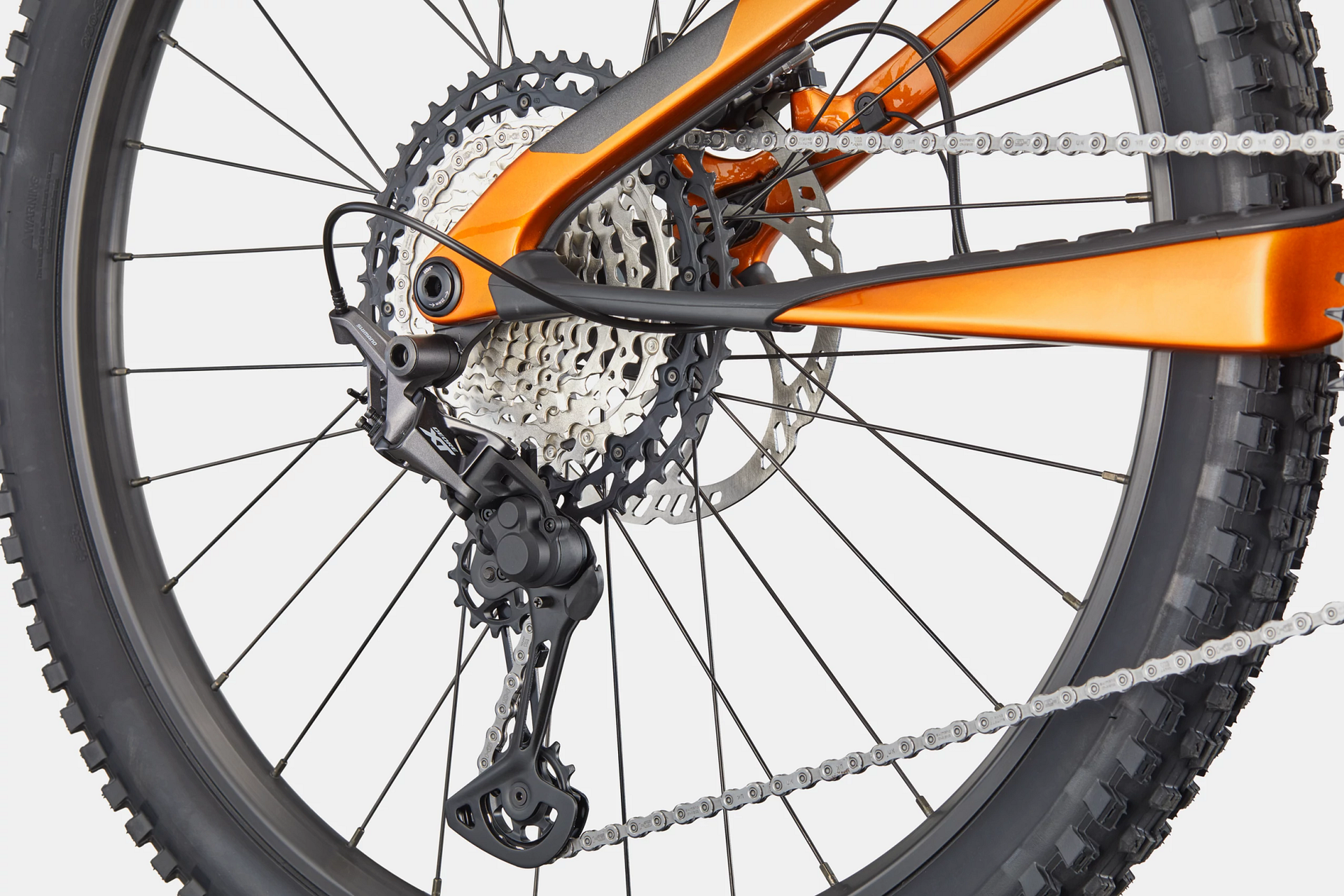 Cannondale Moterra SL 2 e-MTB, detail 3