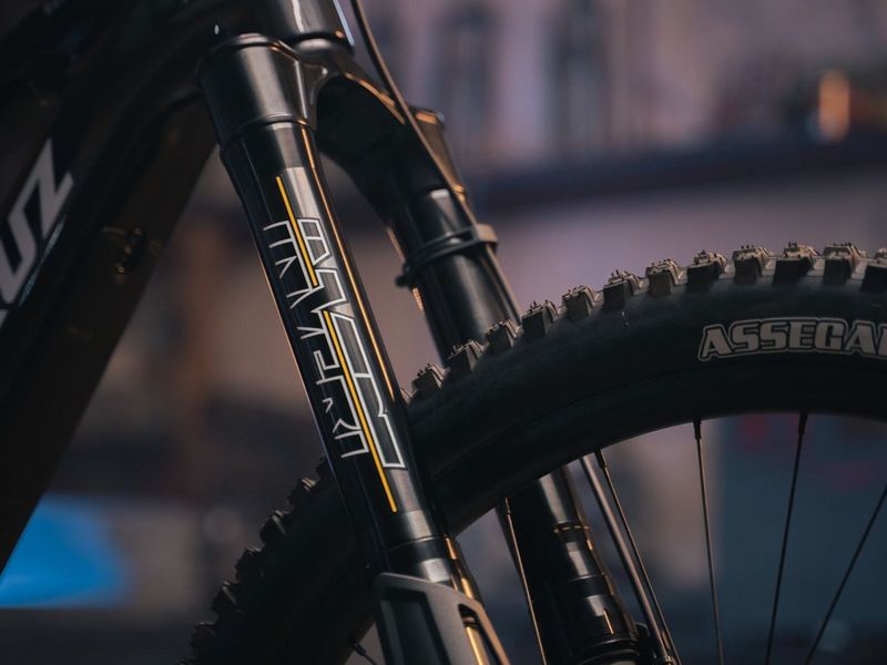 Cane Creek Invert Enduro, detail 6