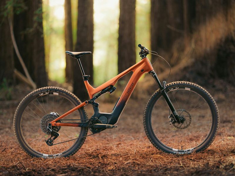 Aventon Current LTD parked on a forest trail