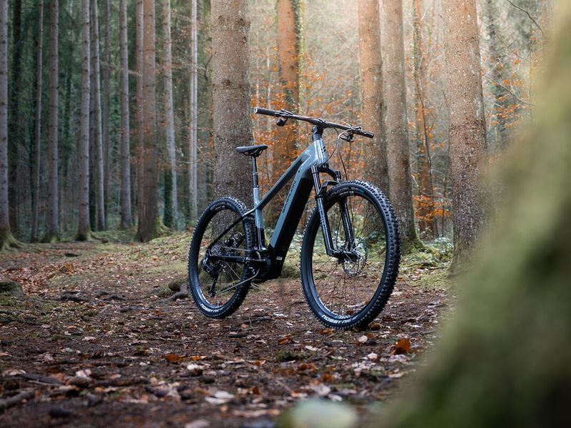 Simplon Cure :e Expert e-MTB, photo 8