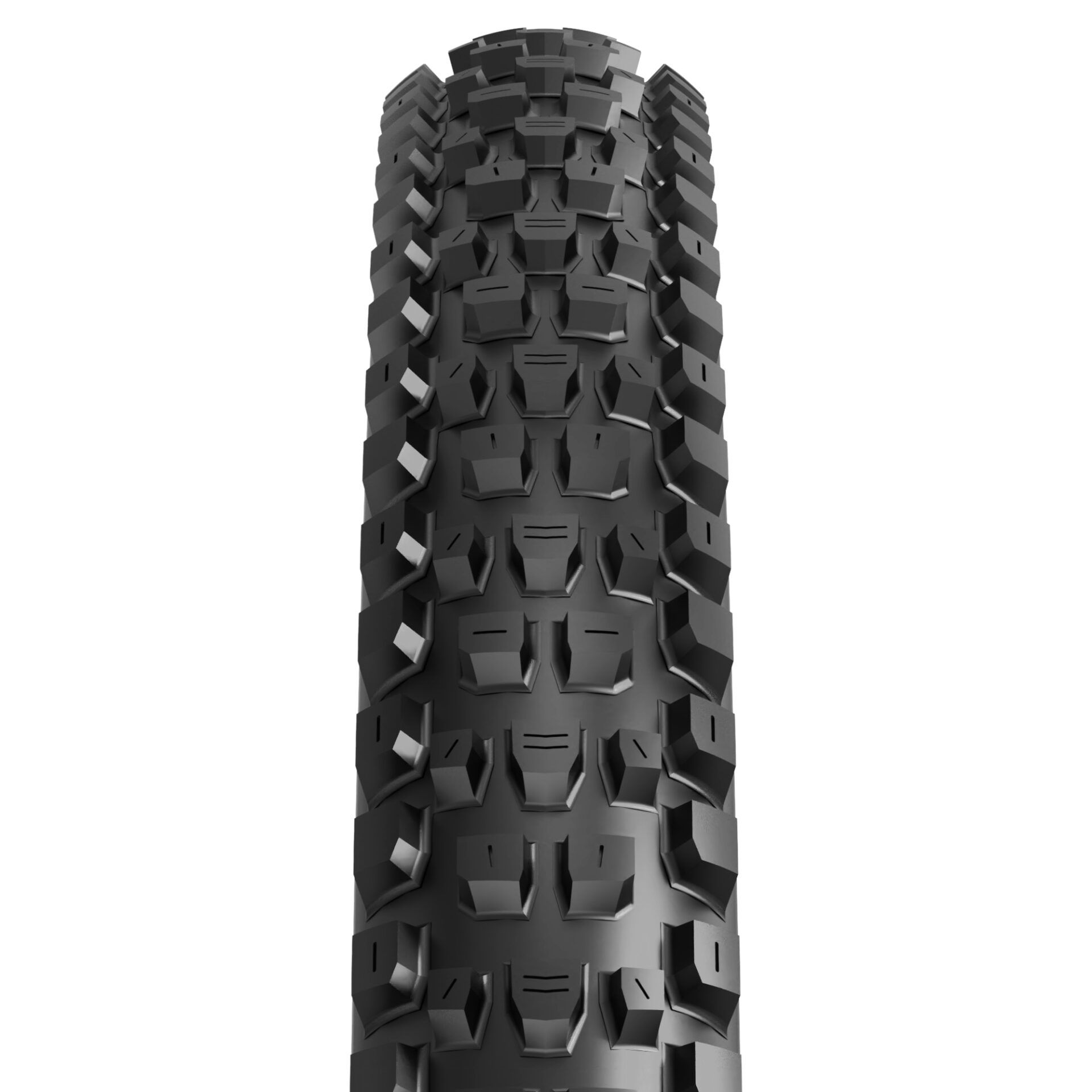 Maxxis Dissector, detail 2