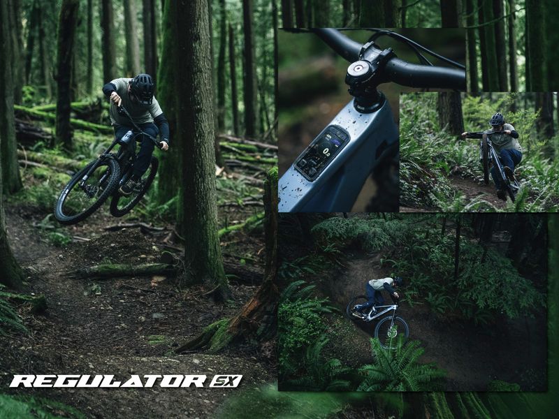 Transition Regulator SX Eagle 90 e-MTB, riding shot 2