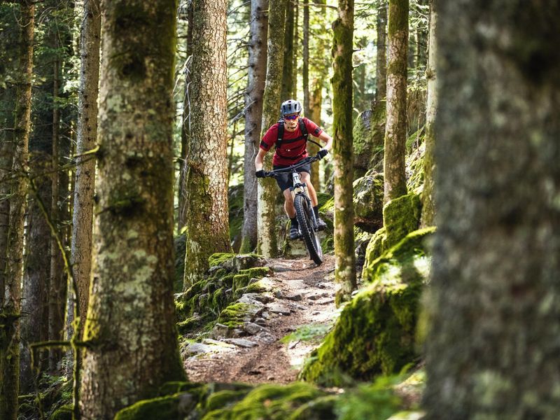 Moustache Trail 150.2 e-MTB, detail 2