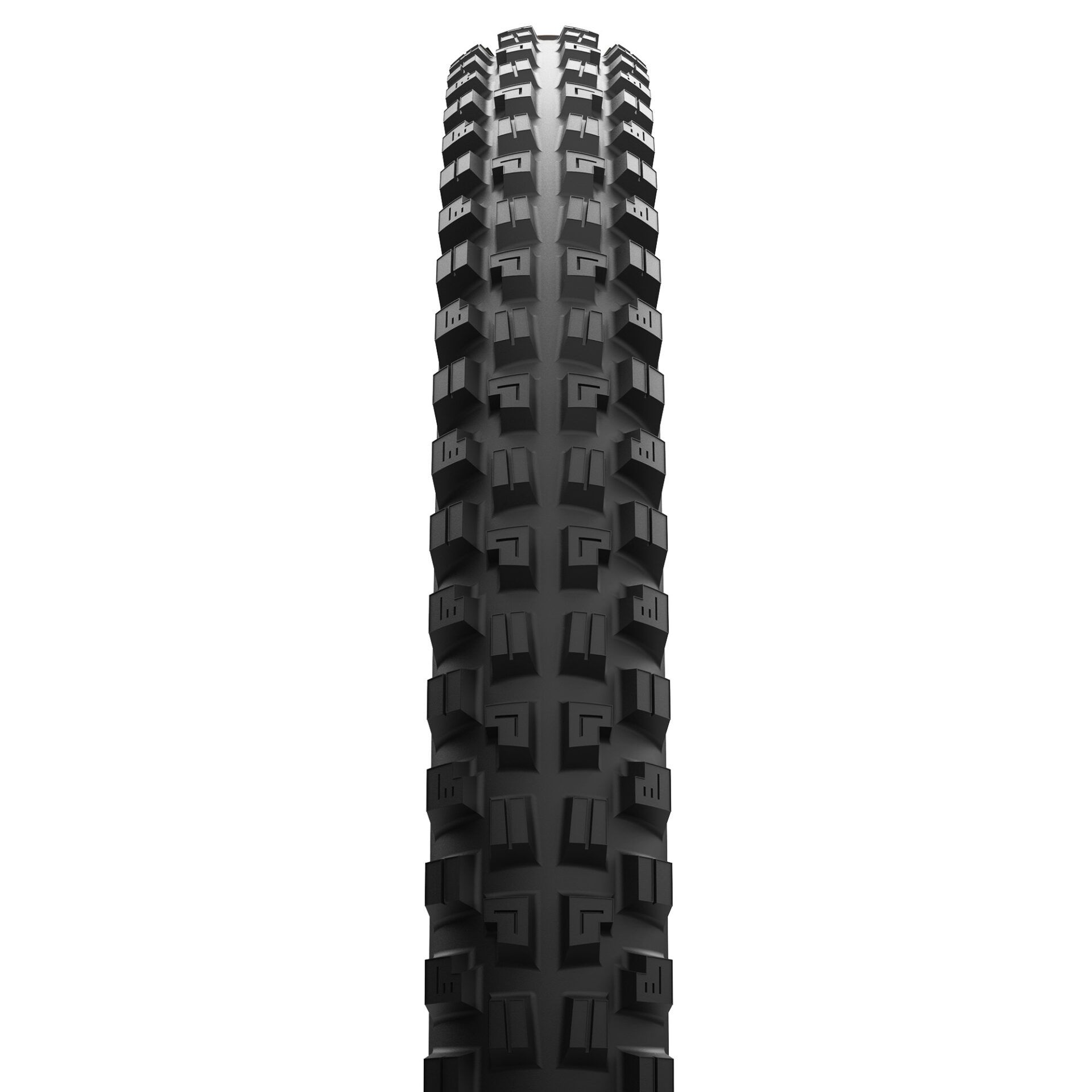 Maxxis Minion DHX, detail 1
