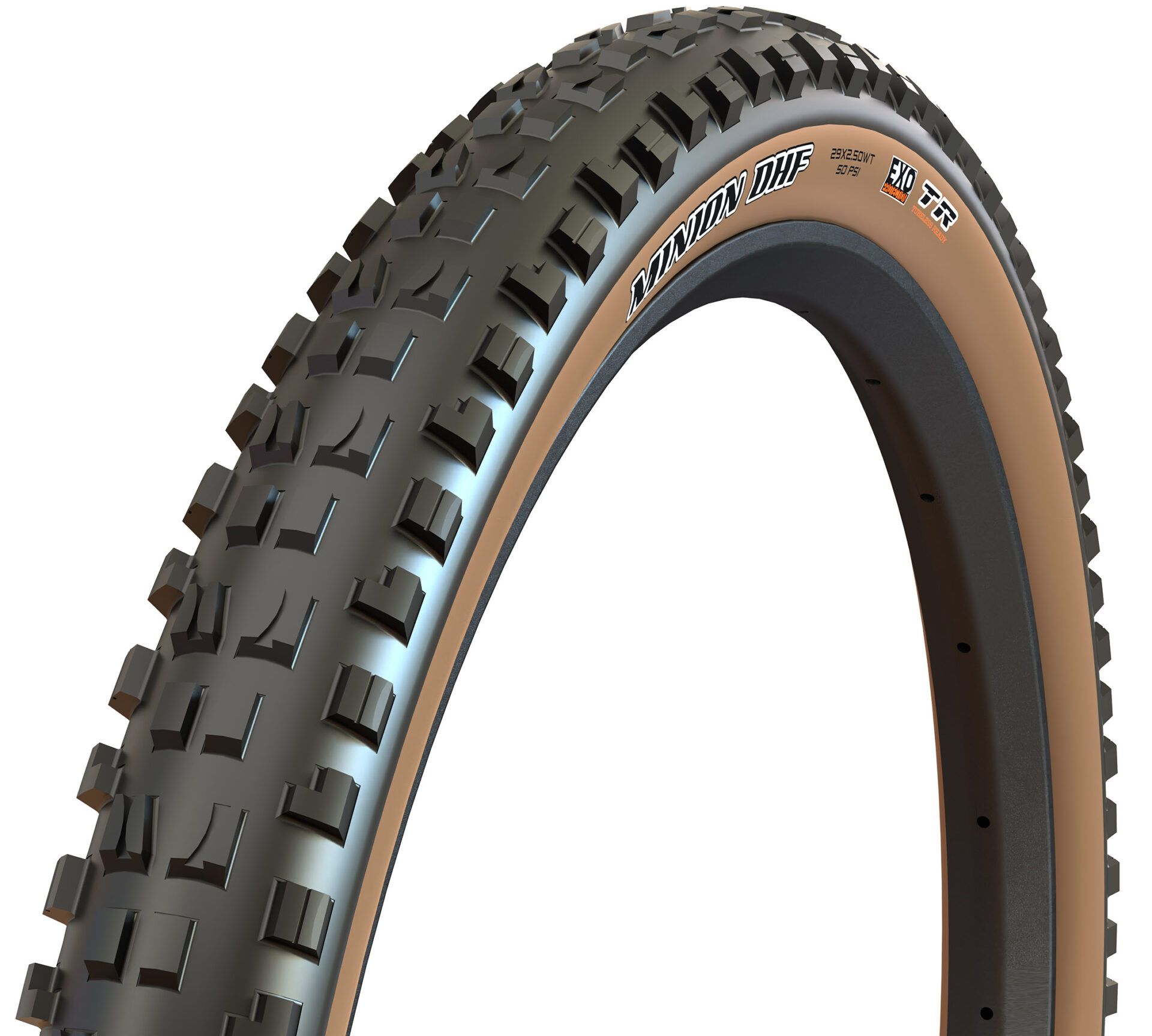 Maxxis Minion DHF, detail 3