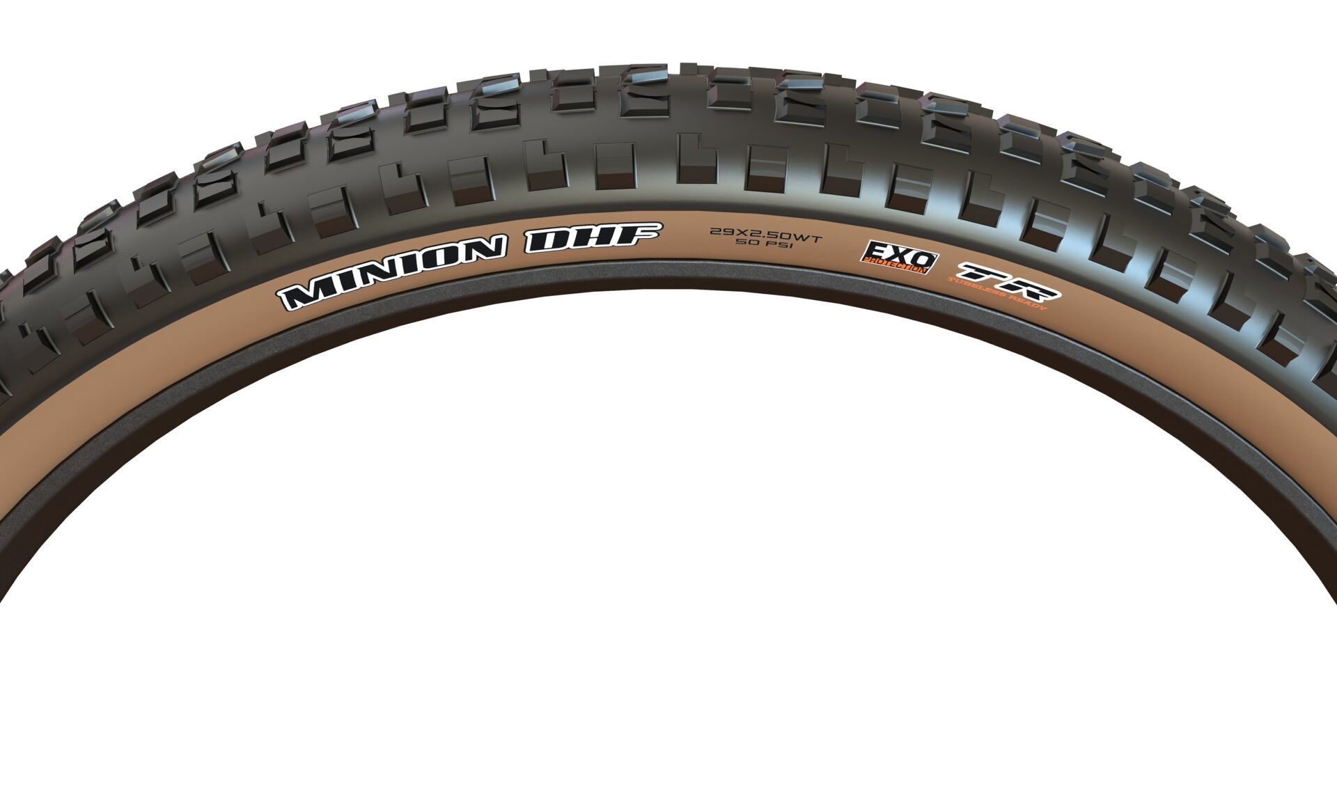 Maxxis Minion DHF, detail 4
