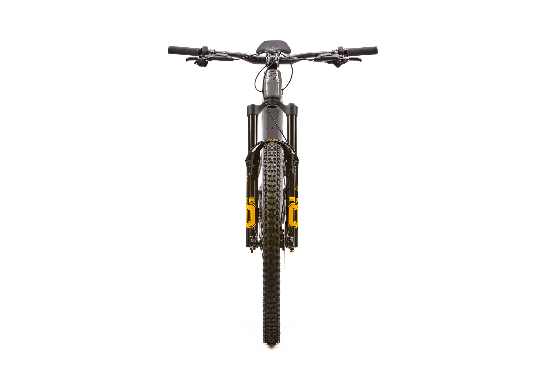 Ducati DM-170 RR e-MTB, detail 1