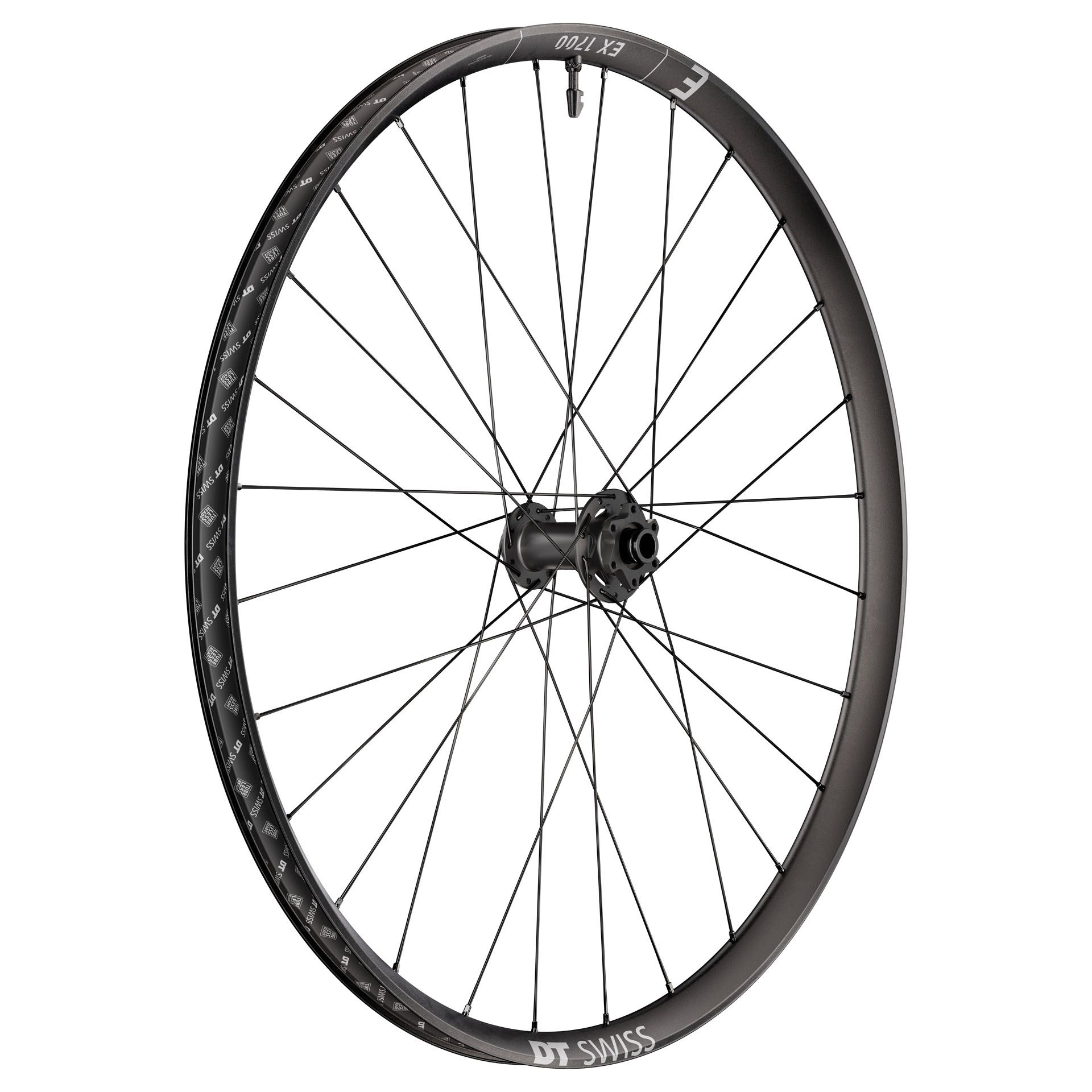 DT Swiss EX 1700 CLASSIC, detail 1