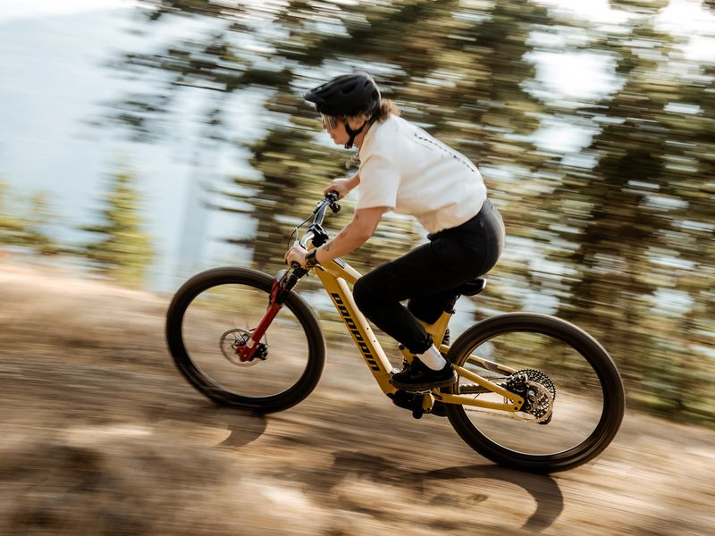 Propain Ekano AL Trail Factory e-MTB, riding shot 1