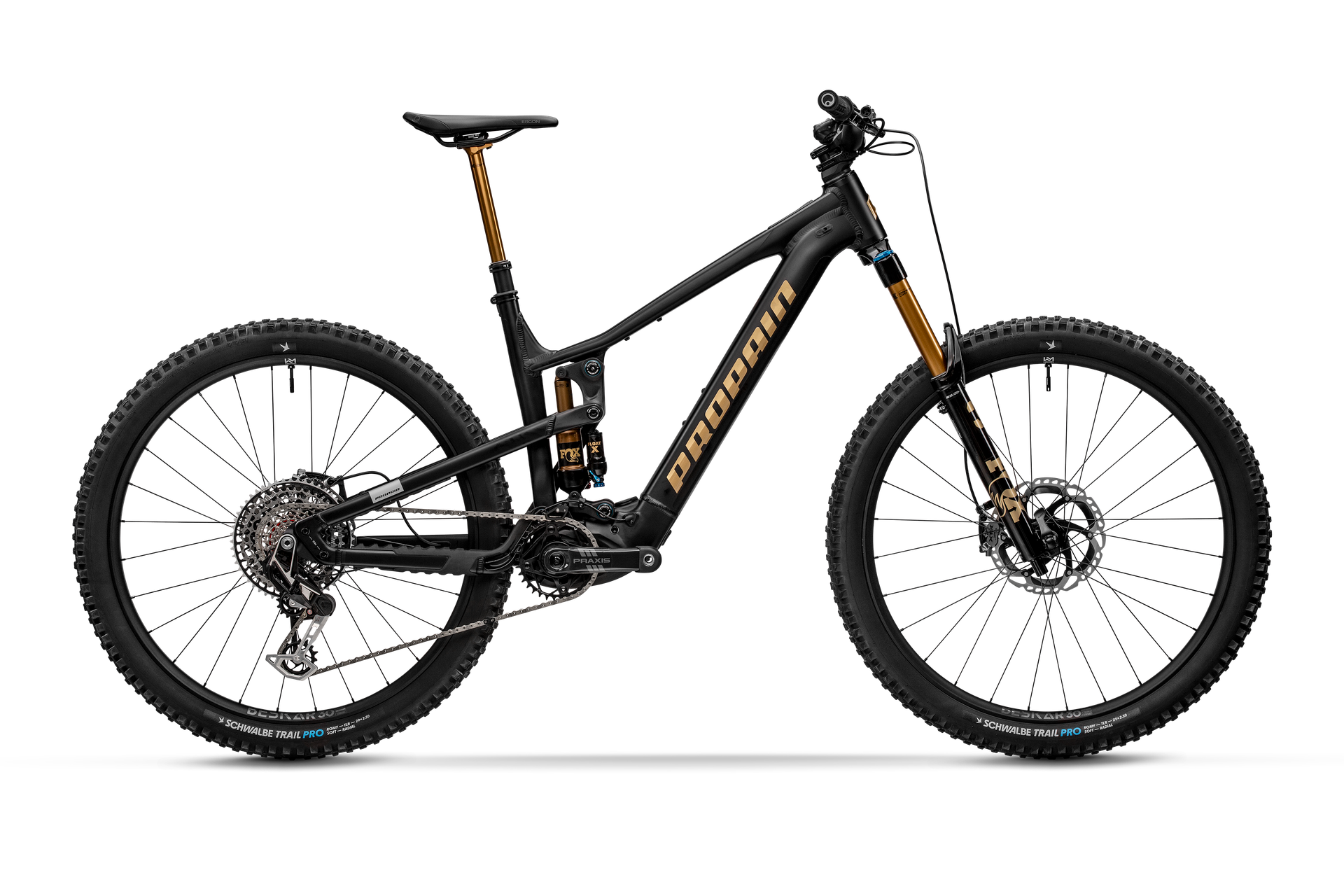 Propain Ekano AL Trail Factory e-MTB, detail 1