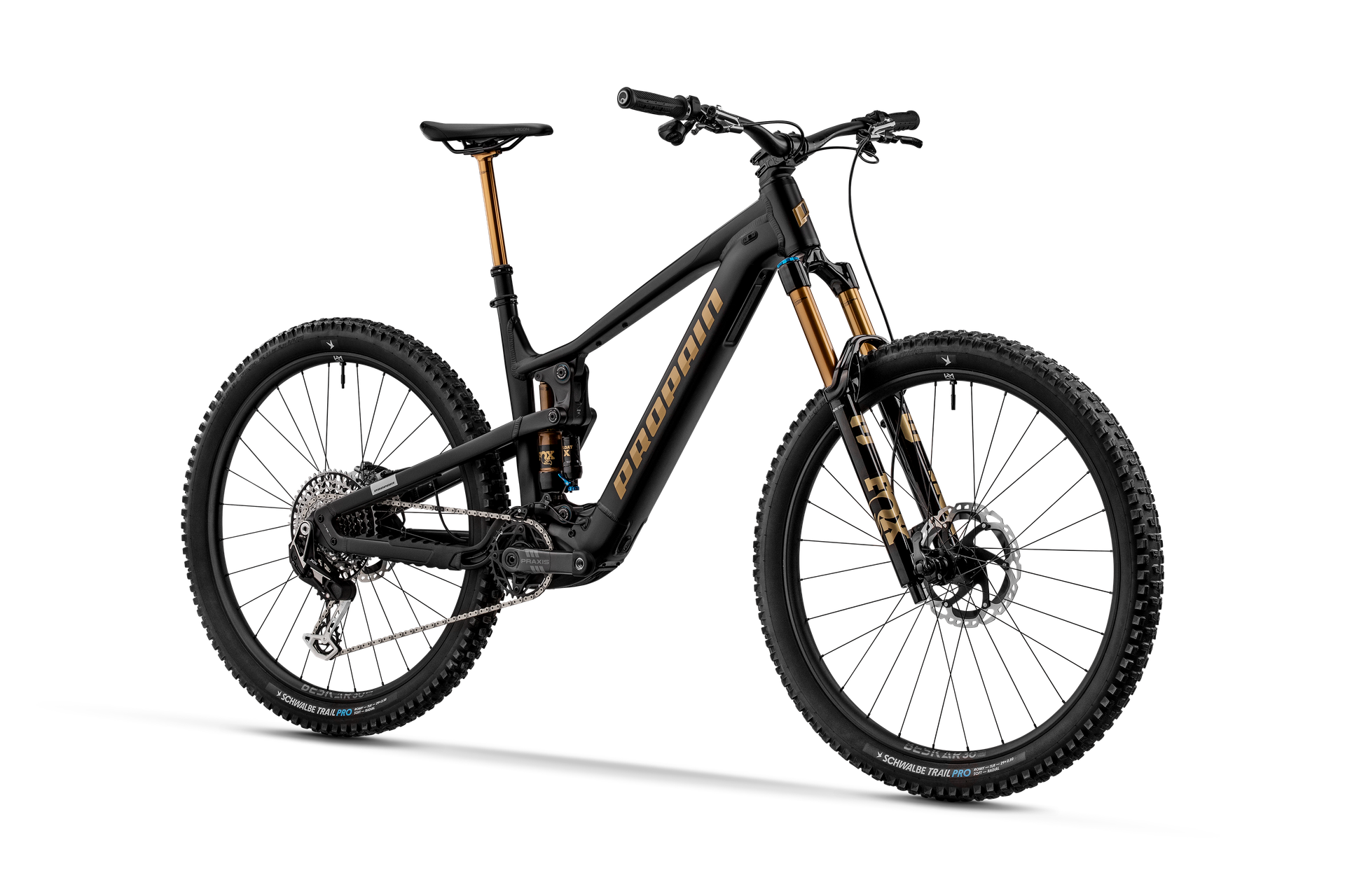 Propain Ekano AL Trail Factory e-MTB, detail 2