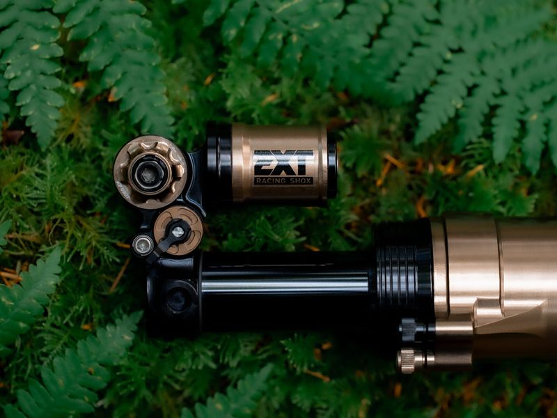 EXT Aria V2 air shock lying on ferns, showing the vertical piggyback reservoir