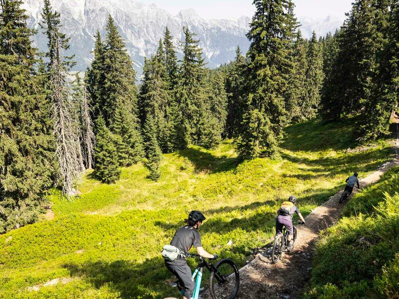 Riders on the Alte Schmiede trail through larch forest in Leogang