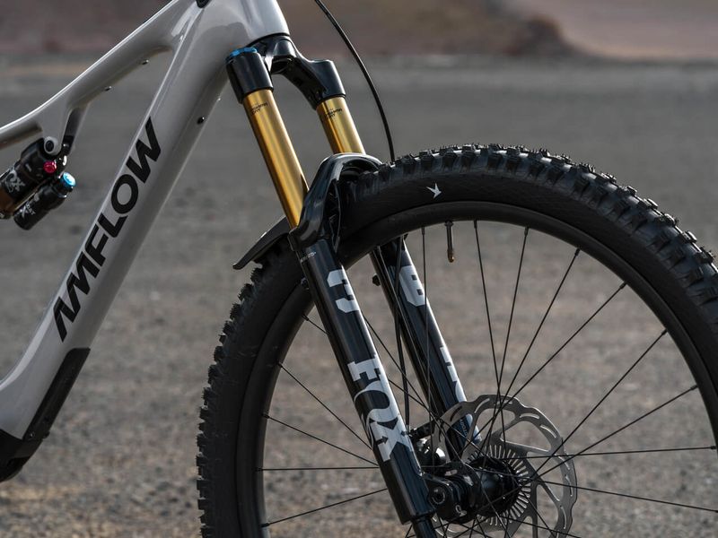Amflow PX Carbon Pro e-MTB, detail 4