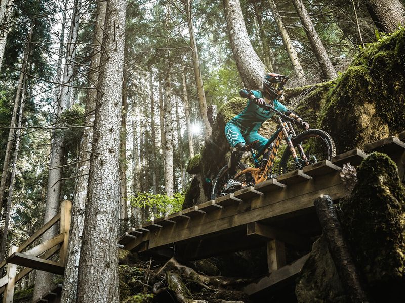 Rider on a wooden North Shore feature on the Bongo Bongo line in Leogang