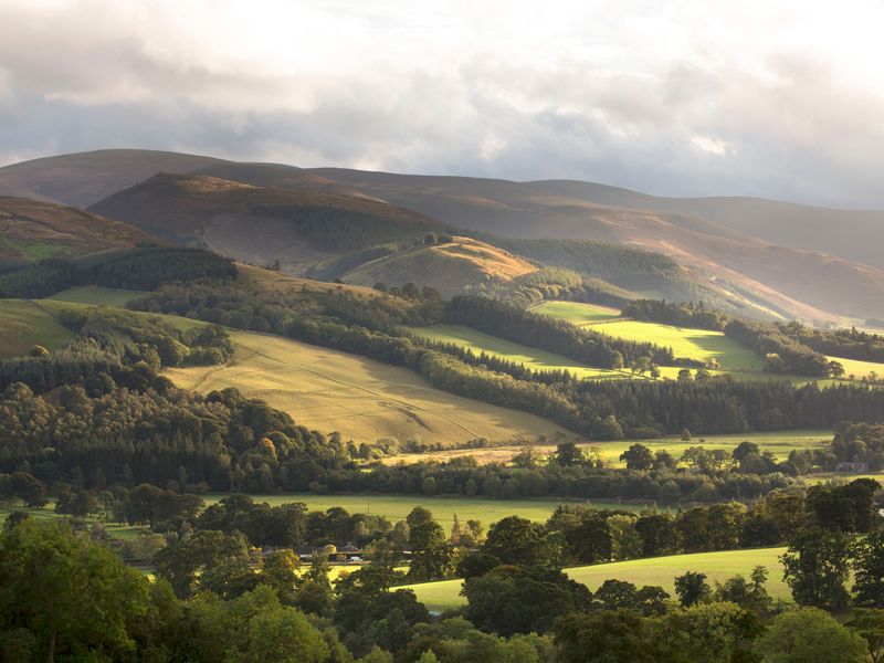 Tweed Valley landscape of fields and forest near Glentress
