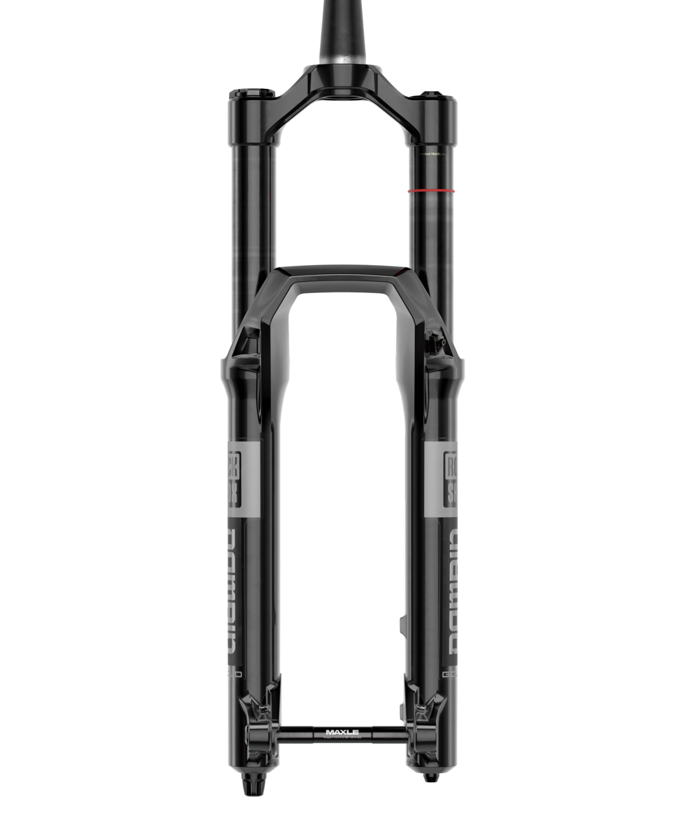 RockShox Domain Gold RC, detail 2