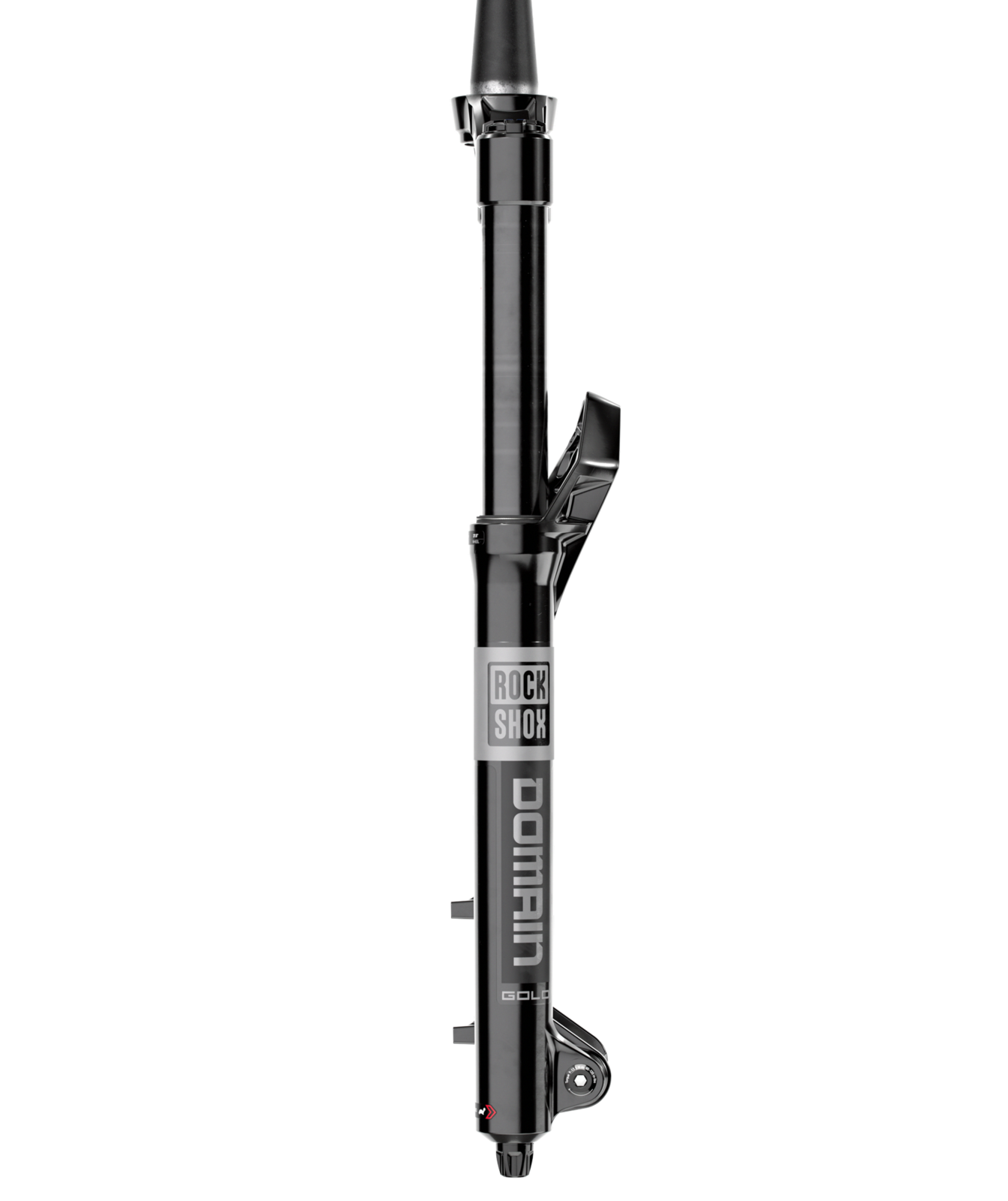 RockShox Domain Gold RC, detail 3