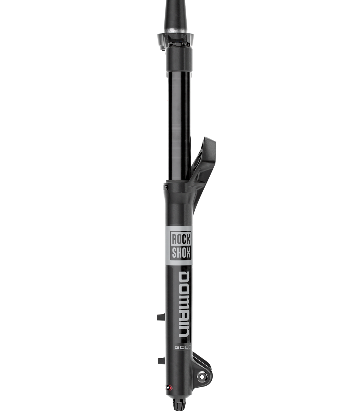 RockShox Domain Gold RC, detail 4