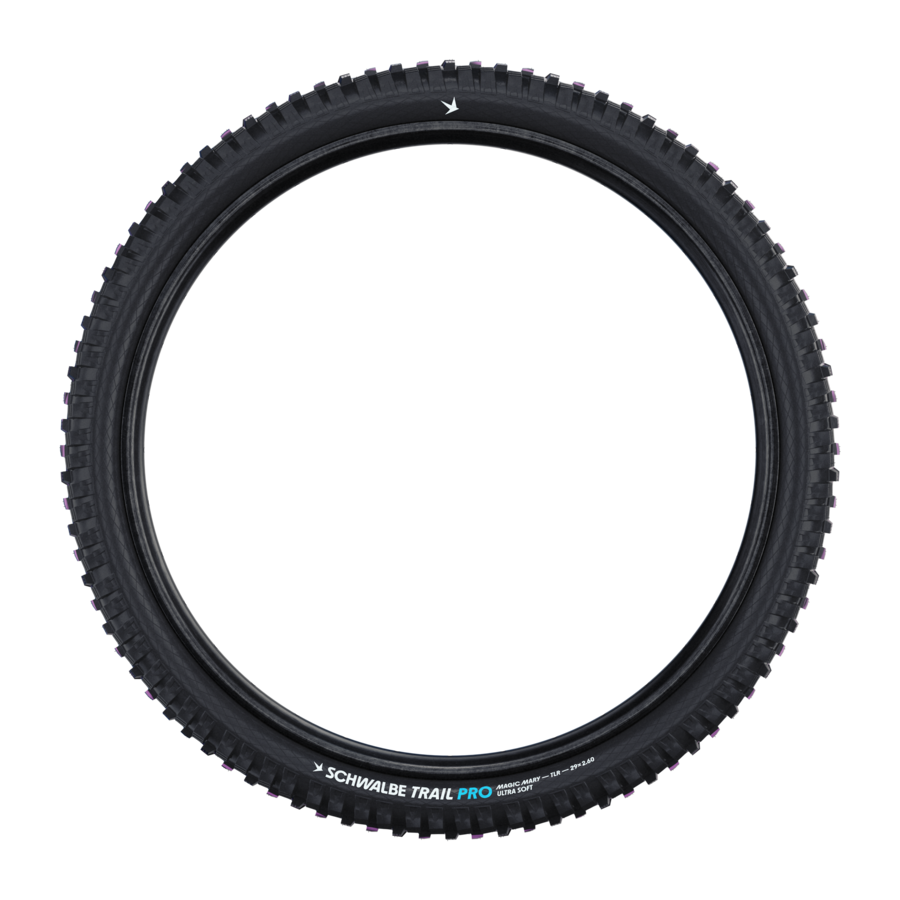 Schwalbe Magic Mary, detail 6