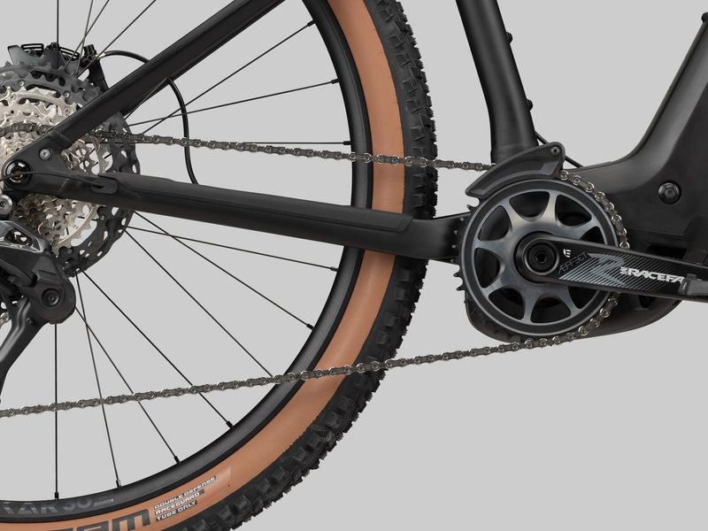 Radon Jealous Hybrid 10.0 800 e-MTB, detail 3