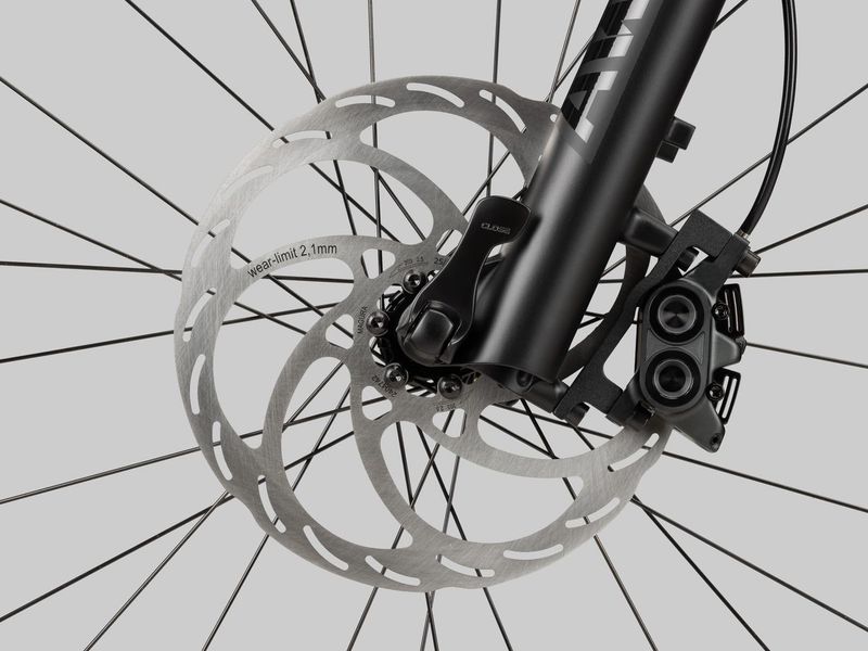 Radon Jealous Hybrid 10.0 800 e-MTB, detail 4