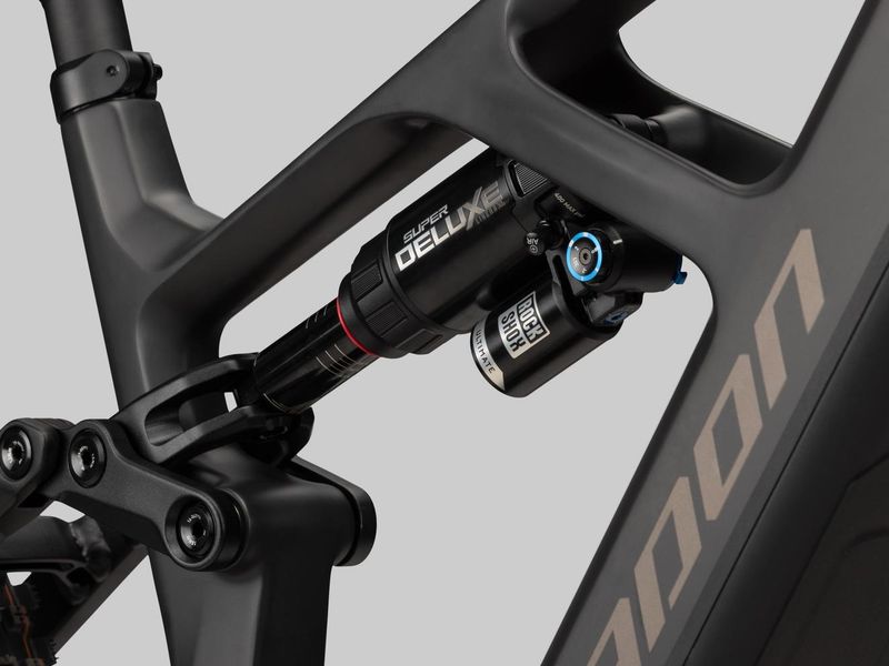 Radon Render 10.0 HD 800 e-MTB, detail 4