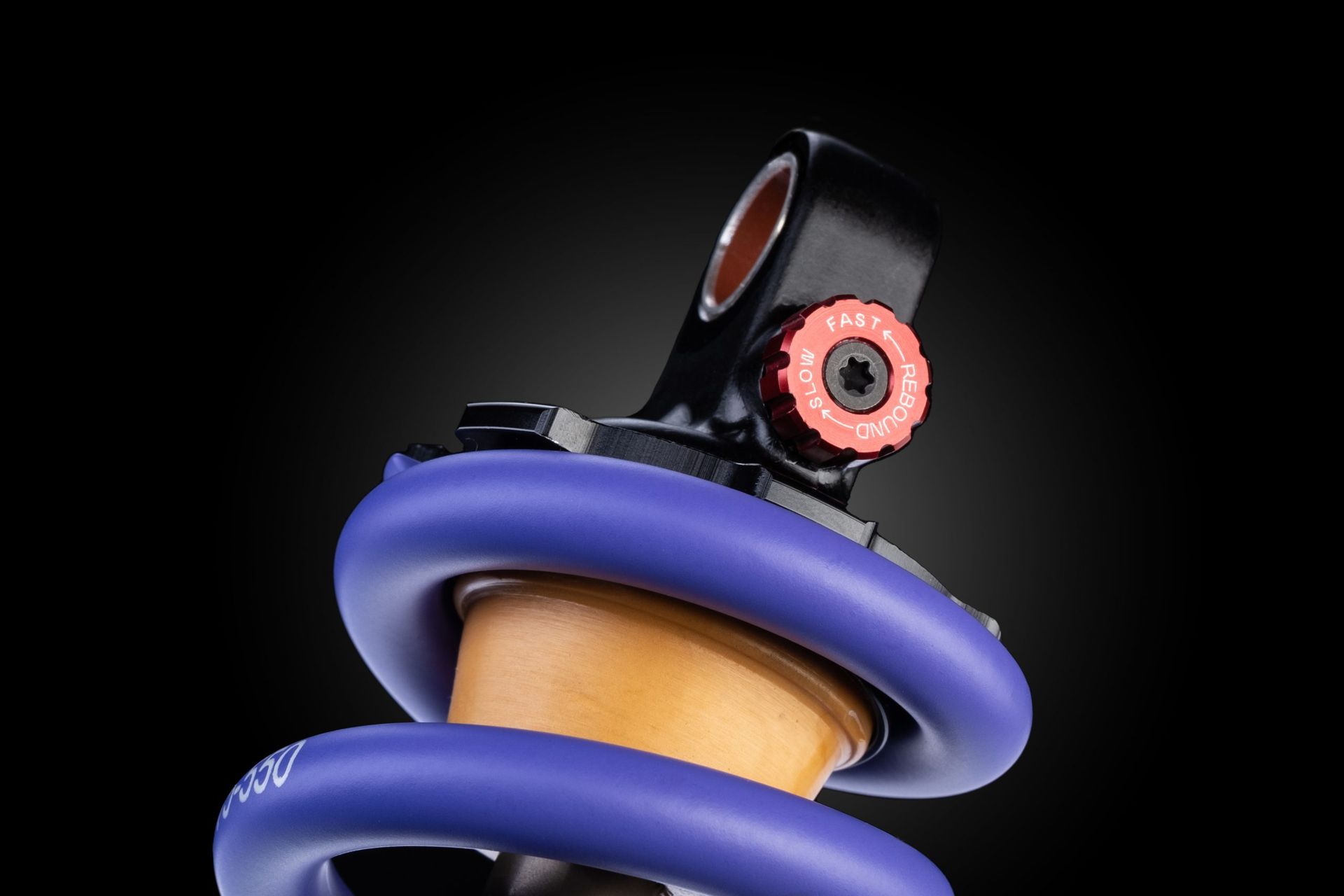 Formula Mod DH, detail 3